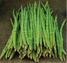 Fresh Onion